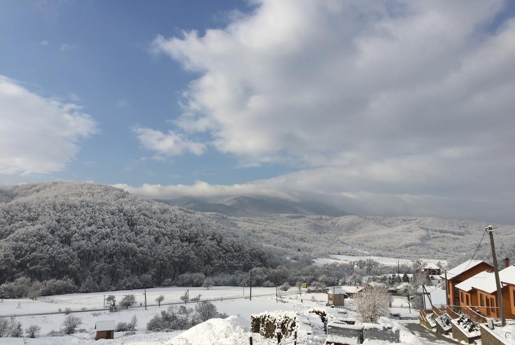 Solnce Karpat Villa Polyána Kültér fotó