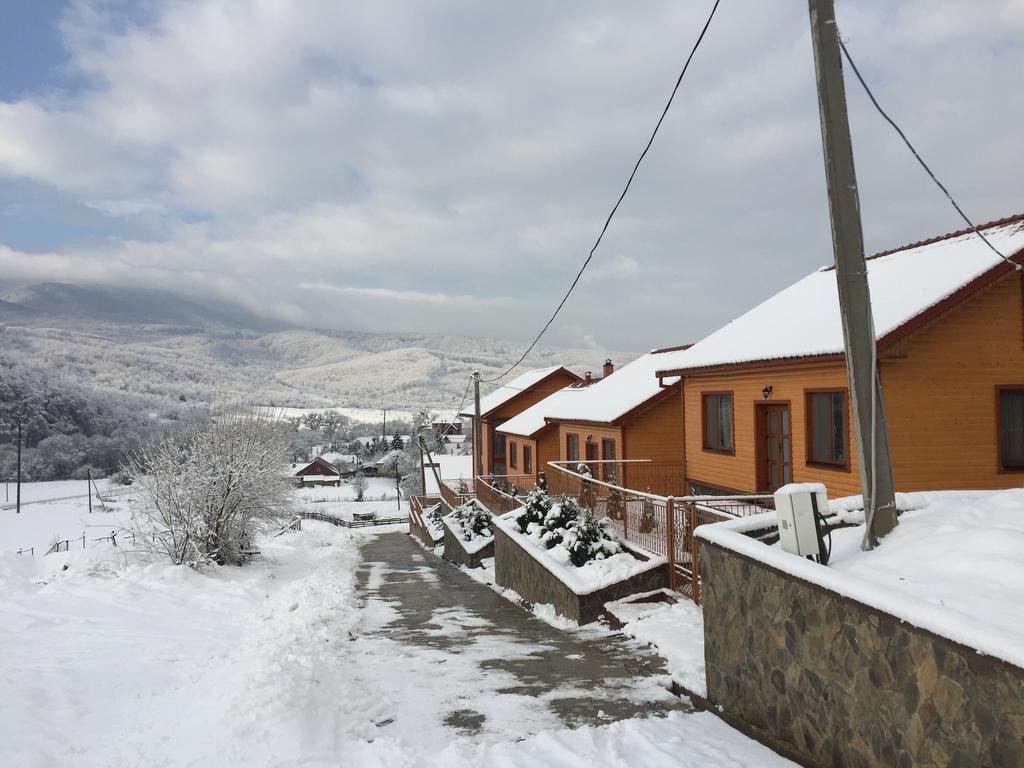 Solnce Karpat Villa Polyána Kültér fotó