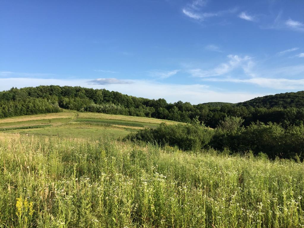 Solnce Karpat Villa Polyána Kültér fotó